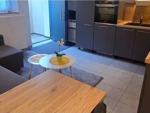 Terrassenwohnung zur Miete 590 € 2 Zimmer 40 m² frei ab sofort Marktheidenfeld 97828