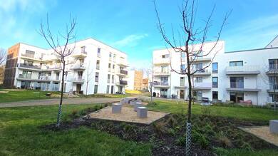 Wohnung zur Miete 1.694 € 3 Zimmer 97 m² EG frei ab sofort Borchertstraße 2b Stellingen Hamburg 22527