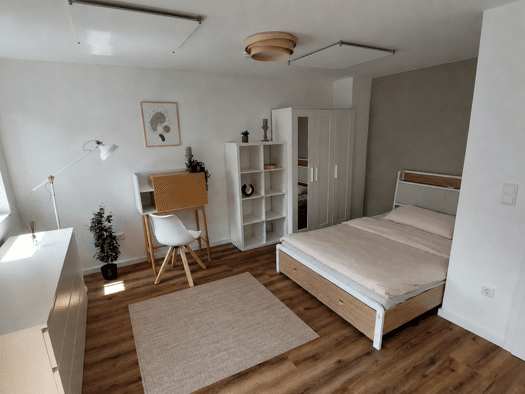 Studio zur Miete 696 € 1 Zimmer 29 m² Geschoss 2/3 frei ab sofort Neckarstadt Neckarstadt - Ost 68169