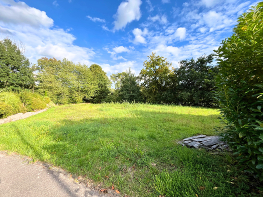 Grundstück zum Kauf 105.000 € 1.266 m² Grundstück frei ab sofort Pfarrweisach 96176