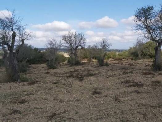 Haus zum Kauf 180.000 € 3 Zimmer 30.763 m² Grundstück Petra