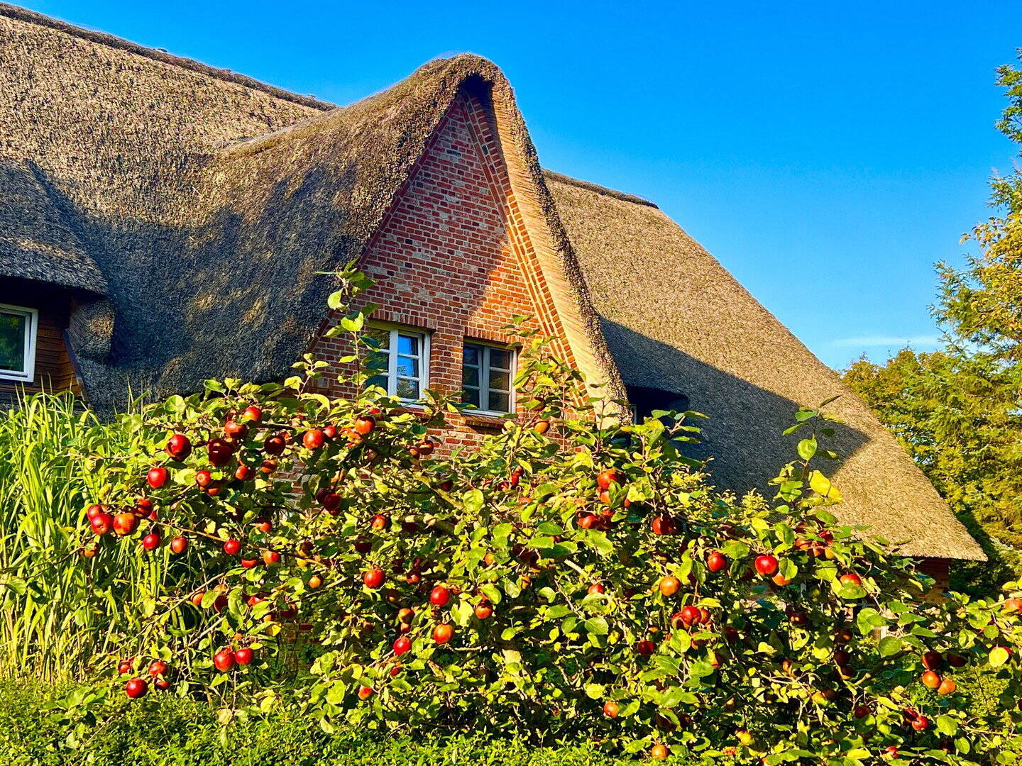 Reihenmittelhaus zum Kauf - Ansicht 2