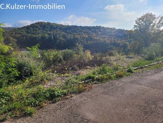 Grundstück zum Kauf 550.000 € 1.242 m² Grundstück Lörrach Lörrach 79539