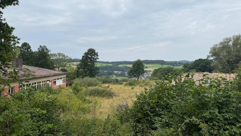 Haus zum Kauf 350.000 € 1 Zimmer 0 m² 15.453 m² Grundstück Liebhards Hilders 36115