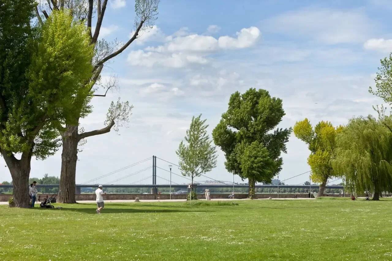 Property thumbnail 38