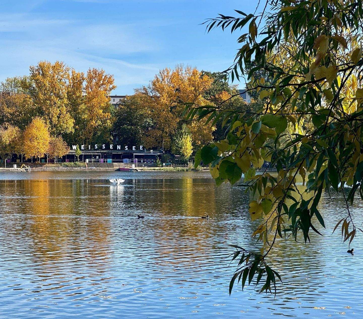 Property thumbnail 8