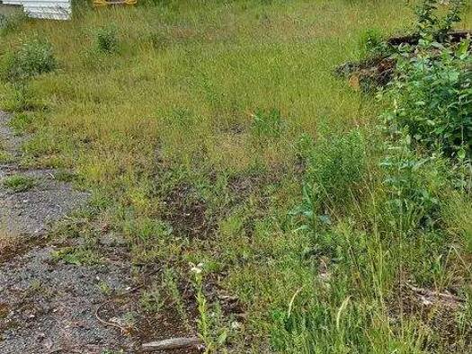 Grundstück zur Miete provisionsfrei 390 € 1.000 m² Grundstück Preißelpöhl Plauen 08525