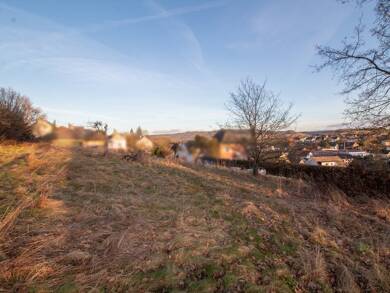 Grundstück zum Kauf 584.000 € 2.716 m² Grundstück Hetzerath 54523
