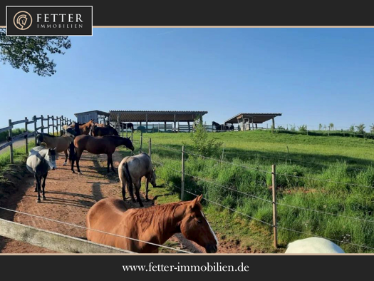 Landwirtschaftliche Fläche zum Kauf 1.690.000 € 66.409 m² Grundstück Wartenberg-Rohrbach 67681