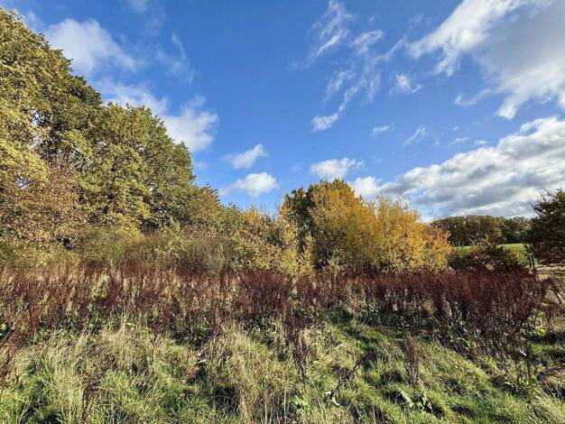 Grundstück zum Kauf 129.000 € 820 m² Grundstück frei ab sofort Betzendorf 21386