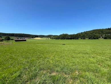 Grundstück zum Kauf 100.000 € 7.918 m² Grundstück Waidhaus Waidhaus 92726