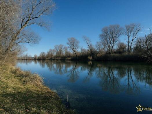 Grundstück zum Kauf 750.000 € 807 m² Grundstück Binsenweg Wien 1220