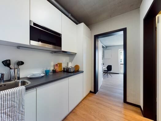 Wohnung zur Miete 702 € 1 Zimmer 25,2 m² 1. Geschoss frei ab 01.10.2025 Gummersbacher Straße 31b Deutz Köln 50679