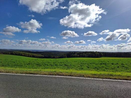 Forstwirtschaft zum Kauf 89.699 m² Grundstück Seifersdorf 07557