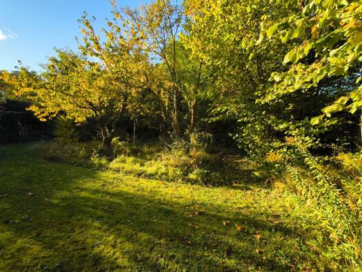 Grundstück zum Kauf 310.000 € 1.104 m² Grundstück Melchow 16230