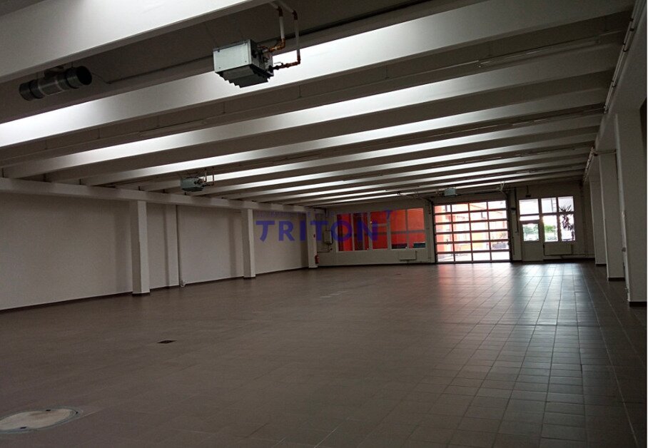 Lagerhalle zur Miete 5.590 € 649 m²<br/>Lagerfläche Wiener Neustadt 2700