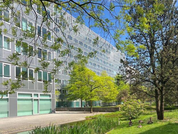 Bürofläche zur Miete provisionsfrei 12,90 € 260 m² Bürofläche Lokstedt Hamburg 22527