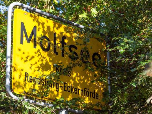 Einfamilienhaus zum Kauf 385.000 € 6 Zimmer 130 m² 976 m² Grundstück Molfsee 24113