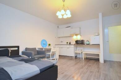 Wohnung zur Miete Wohnen auf Zeit 930 € 1,5 Zimmer 32 m² frei ab 01.09.2025 Stadtmitte Neu-Ulm 89231