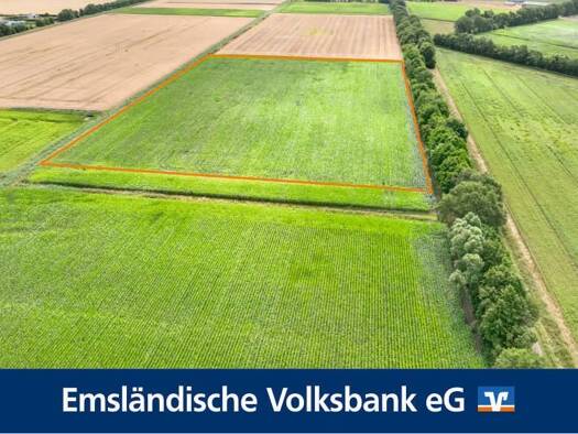 Land-/Forstwirtschaft zum Kauf 45.972 m² Grundstück Langen 49838