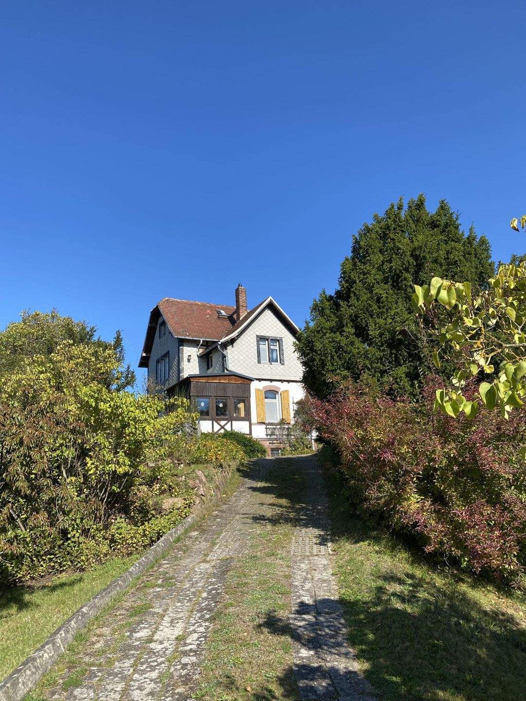 Immobilie in Wechselburg - Etwas ganz Besonderes erwartet Sie... - Bild 1