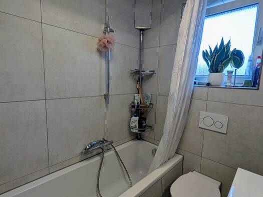 Wohnung zur Miete 850 € 3 Zimmer 64 m² Geschoss 1/2 frei ab 01.05.2026 Schifferstadt 67105