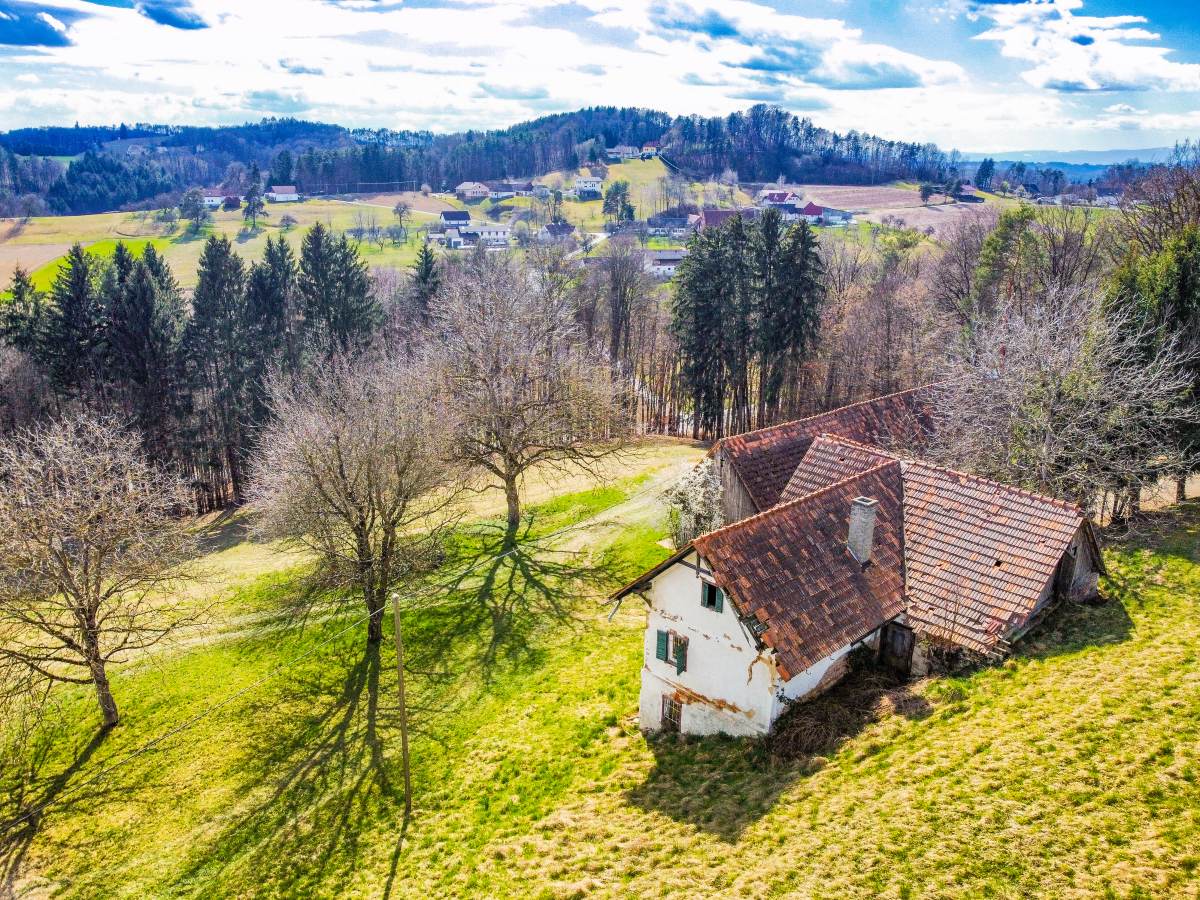 Bauernhaus zum Kauf 275.000 € 10.000 m²<br/>Grundstück Stefansberg 25 Sankt Stefan im Rosental 8082