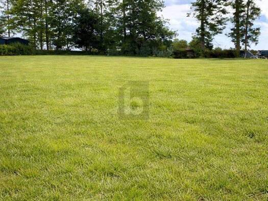 Grundstück zum Kauf 64.000 € 1.095 m² Grundstück Dersentin Lalendorf 18279