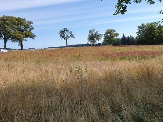 Grundstück zum Kauf provisionsfrei 59.500 € 2.200 m² Grundstück gegenüber Spielplatz Libnow Murchin 17390