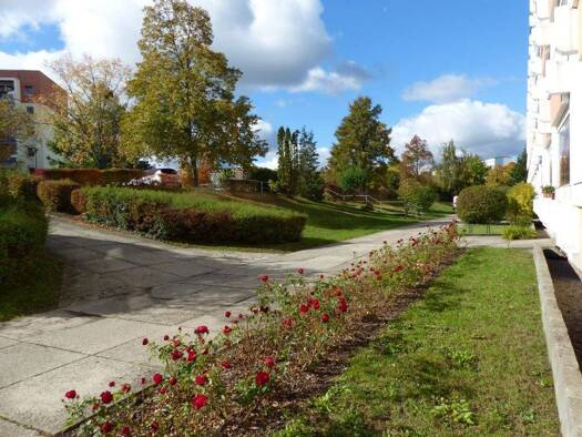 Studio zur Miete 338 € 3 Zimmer 61,5 m² 4. Geschoss Oschatz 04758