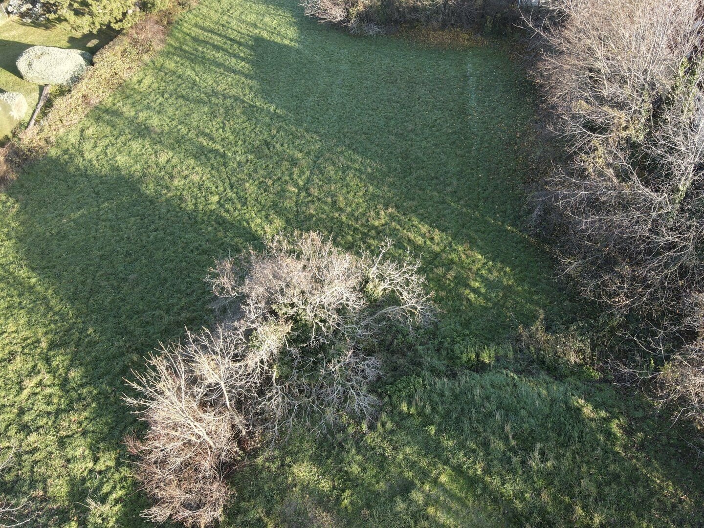 Grundstück zum Kauf 1.307 m²<br/>Grundstück Maria Enzersdorf 2344