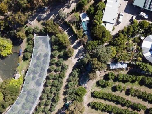 Einfamilienhaus zum Kauf 1.118.981 € 6 Zimmer 196 m² 81.000 m² Grundstück Bull Creek 5157