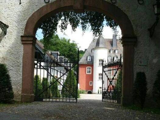 Schloss zum Kauf 80 Zimmer 1.900 m² 30.000 m² Grundstück Urft Kall 53925