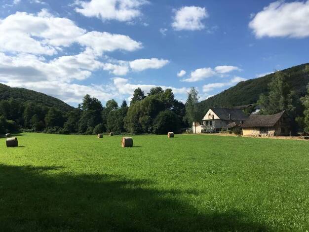 Bauernhaus zum Kauf 425.000 € 5 Zimmer 90 m² 83.944 m² Grundstück Hahnenbach 55606