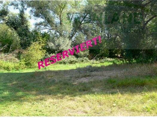 Grundstück zum Kauf 25.000 € 1.190 m² Grundstück Buschdorf Zechin Buschdorf 15328