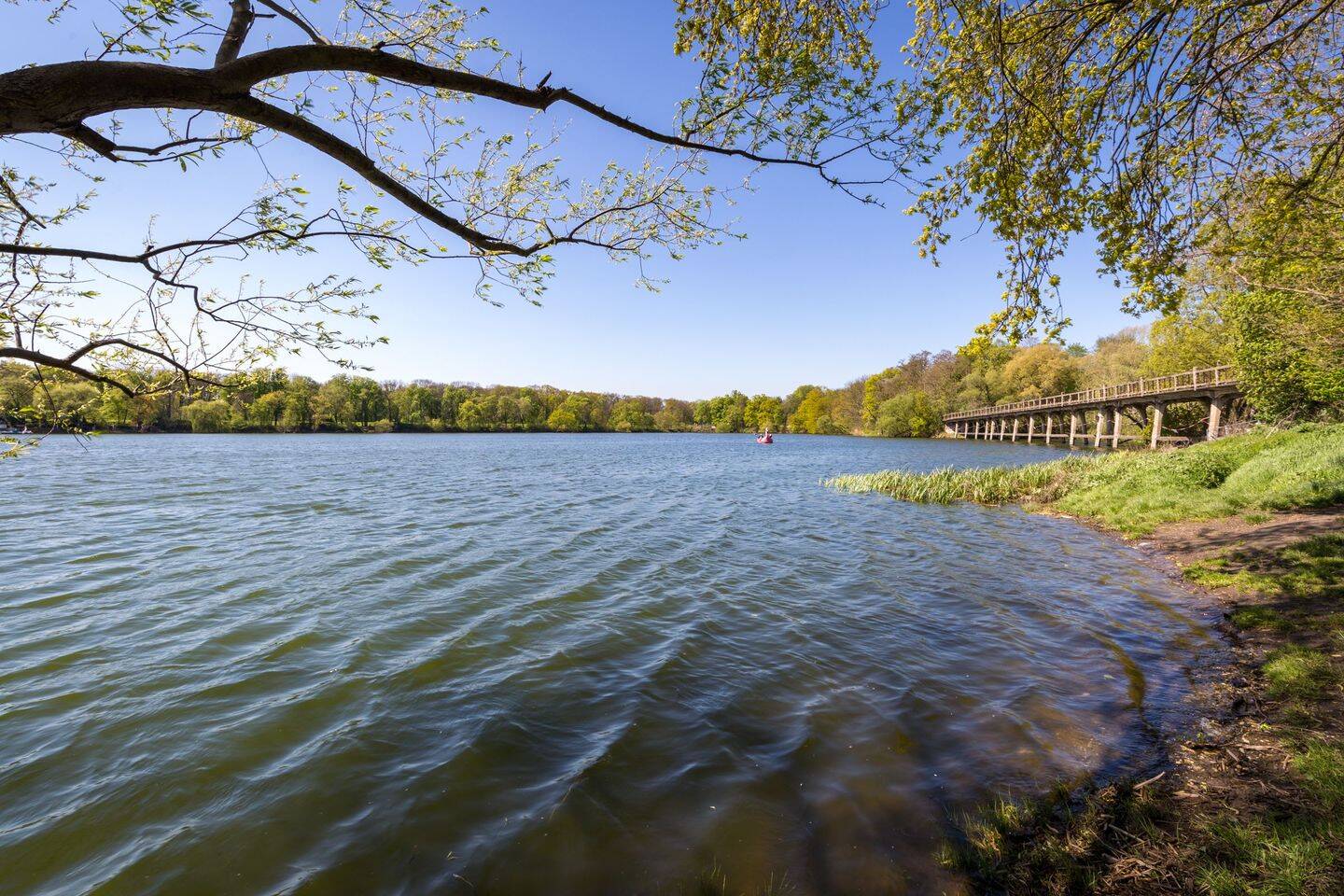 Property thumbnail 9