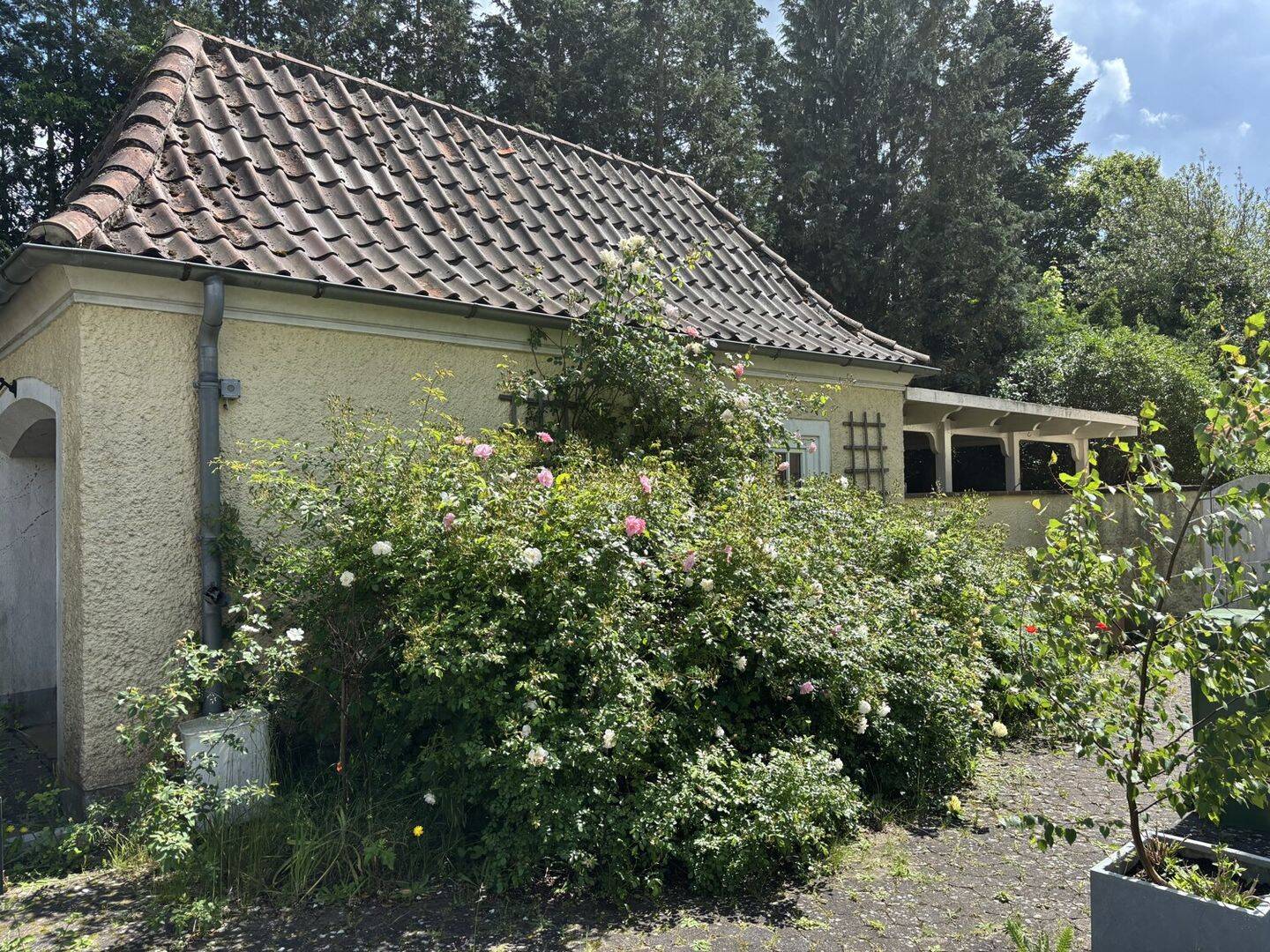 Haus – Verden (Aller) - Ansicht 5