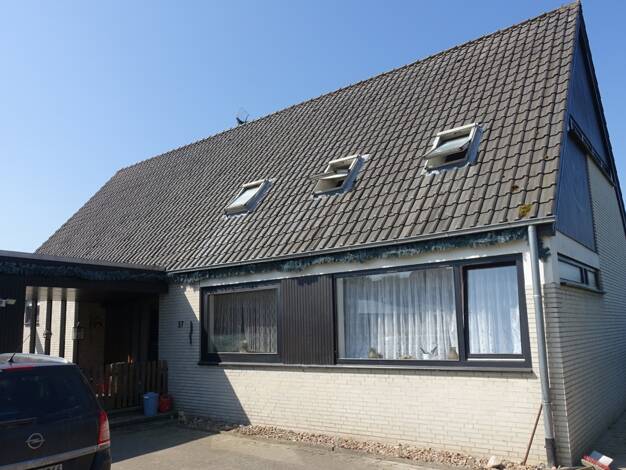 Einfamilienhaus zum Kauf 234.000 € 9 Zimmer 189 m² 2.203 m² Grundstück Asendorf Asendorf 27330