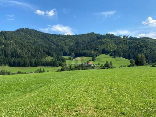 Grundstück zum Kauf 807 m² Grundstück Weyer 3335