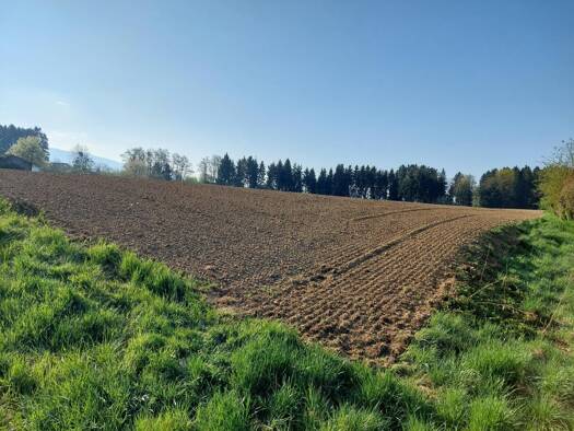 Grundstück zum Kauf 280.000 € 2.977 m² Grundstück St. Andrä 9431