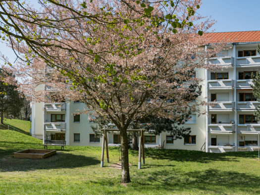 Wohnung zur Miete 439 € 3 Zimmer 60,9 m² 4. Geschoss frei ab sofort August-Rudloff-Straße 17 Eisenach 99817