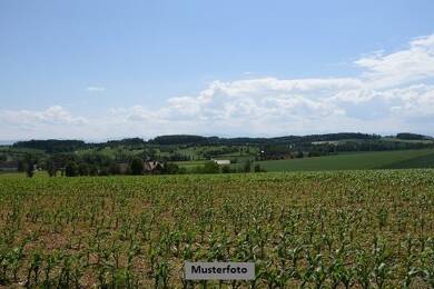 Land-/Forstwirtschaft zur Zwangsversteigerung 3.000 € 1.848 m² Grundstück Beuren Büßlingen 78250