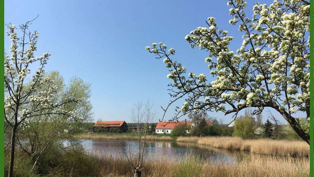 Wohnung zur Miete 570 € 2,5 Zimmer 67 m² 1. Geschoss frei ab sofort Pechau Magdeburg 39114