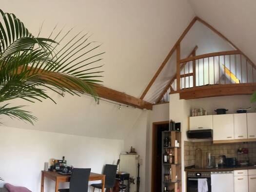 Studio zur Miete 420 € 1 Zimmer 35 m² EG frei ab 01.10.2026 Weddel Cremlingen 38162