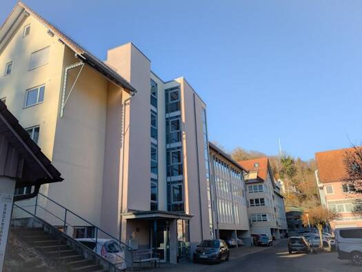 Wohnung zur Miete 600 € 2 Zimmer 56,3 m² Geschoss 3/4 frei ab sofort Altensteig 72213