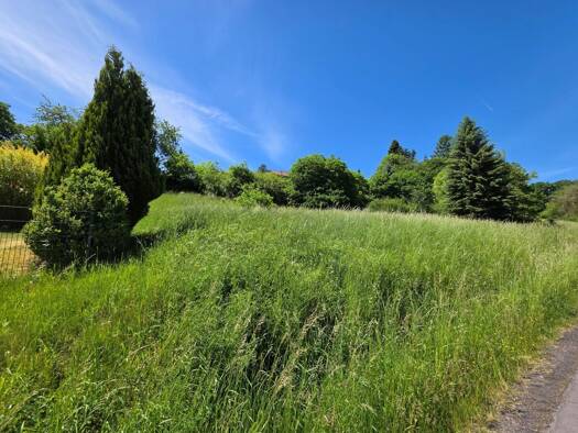 Grundstück zum Kauf 55.000 € 793 m² Grundstück Schlitz Schlitz 36110