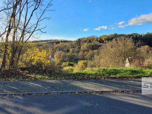 Grundstück zum Kauf 49.000 € 835 m² Grundstück frei ab sofort Grünsfeld-Hausen Grünsfeld 97947