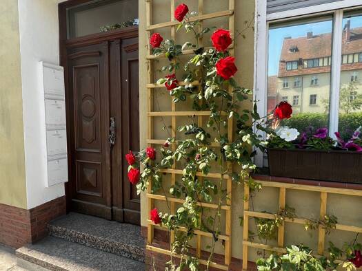 Wohnung zur Miete 1.250 € 2,5 Zimmer 62 m² Geschoss 2/2 frei ab 15.09.2026 Altstadt Brandenburg an der Havel 14770