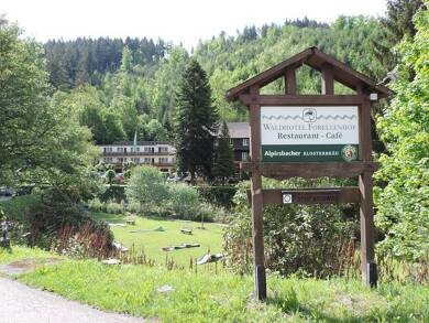 Hotel zum Kauf als Kapitalanlage geeignet 4.000.000 € 32 Zimmer 4.140 m² 12.750 m² Grundstück Gaisbach 91 Lichtental Baden-Baden 76534