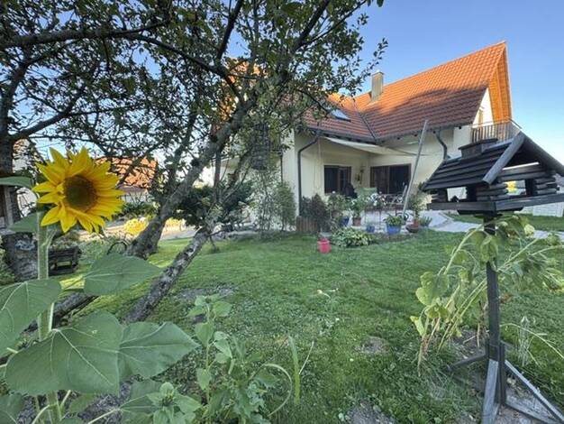 Einfamilienhaus zum Kauf provisionsfrei 450.000 € 8,5 Zimmer 184 m² 1.076 m² Grundstück Waldbeuren Ostrach 88356